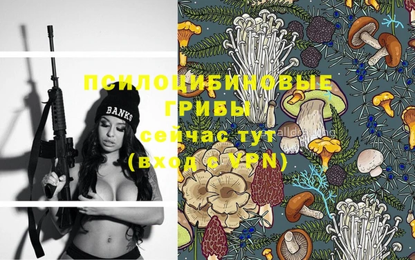 соль курить ск Александровское