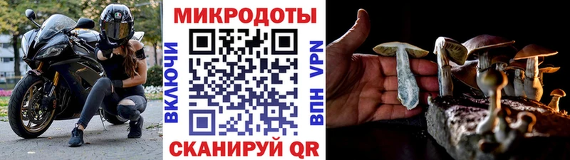 Галлюциногенные грибы Psilocybine cubensis  Купить  Новотитаровская 